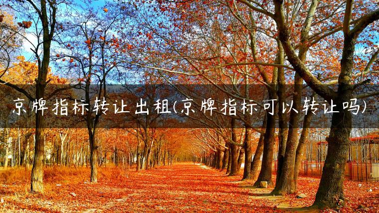 京牌指标转让出租(京牌指标可以转让吗)