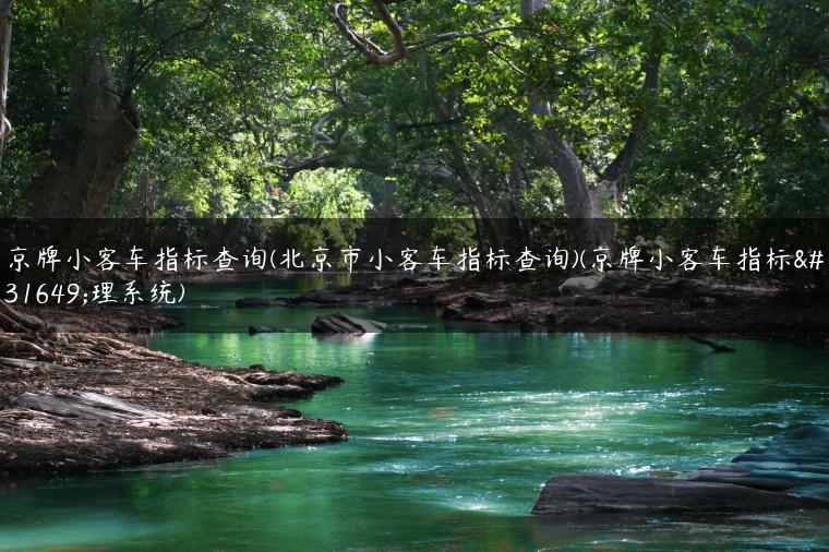京牌小客车指标查询(北京市小客车指标查询)(京牌小客车指标管理系统)
