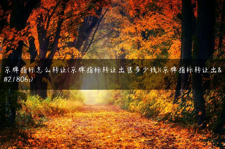 京牌指标怎么转让(京牌指标转让出售多少钱)(京牌指标转让出售)