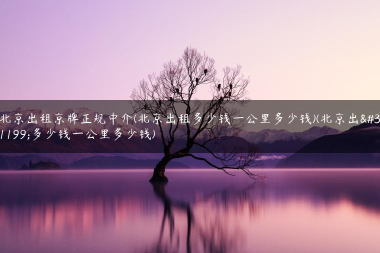 北京出租京牌正规中介(北京出租多少钱一公里多少钱)(北京出租多少钱一公里多少钱)