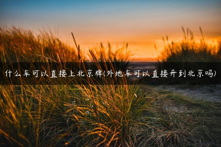 什么车可以直接上北京牌(外地车可以直接开到北京吗)