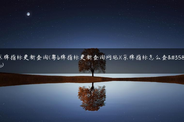 京牌指标更新查询(粤b牌指标更新查询网站)(京牌指标怎么查询)
