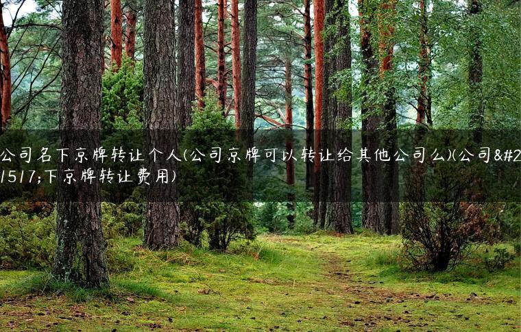 公司名下京牌转让个人(公司京牌可以转让给其他公司么)(公司名下京牌转让费用)