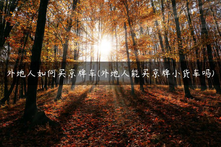 外地人如何买京牌车(外地人能买京牌小货车吗)