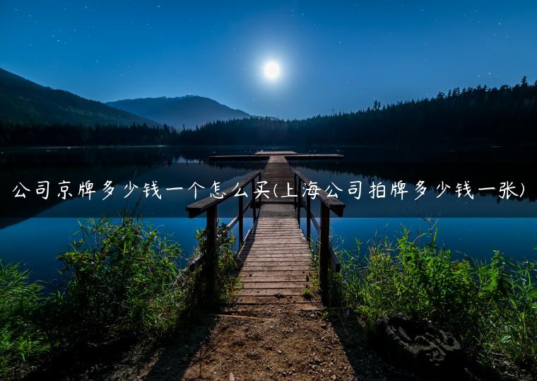 公司京牌多少钱一个怎么买(上海公司拍牌多少钱一张)