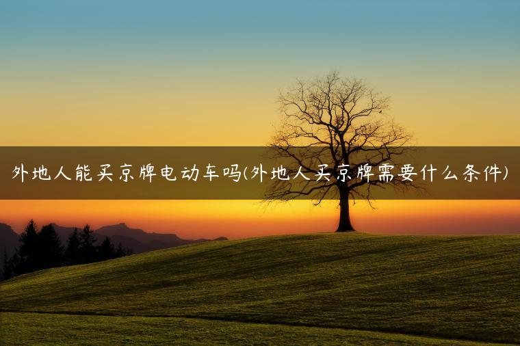 外地人能买京牌电动车吗(外地人买京牌需要什么条件)