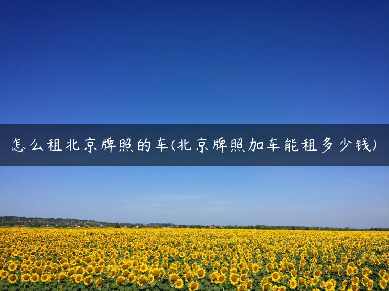 怎么租北京牌照的车(北京牌照加车能租多少钱)