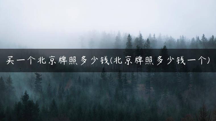买一个北京牌照多少钱(北京牌照多少钱一个)