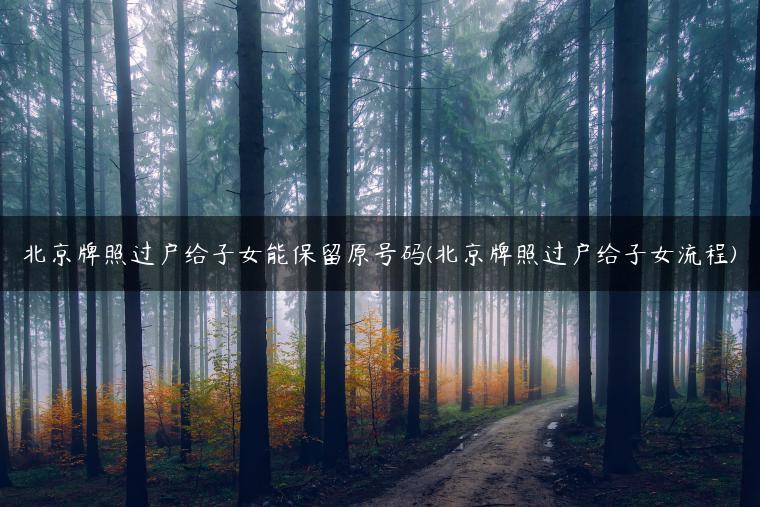 北京牌照过户给子女能保留原号码(北京牌照过户给子女流程)