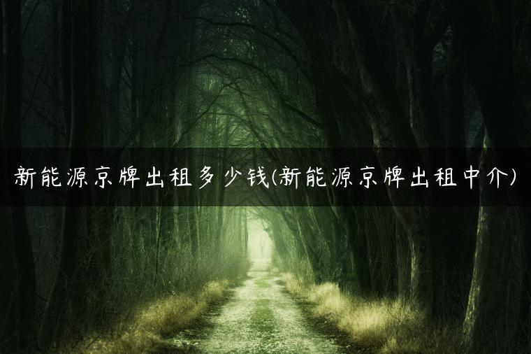 新能源京牌出租多少钱(新能源京牌出租中介)