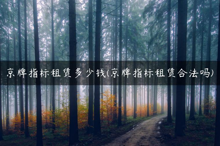 京牌指标租赁多少钱(京牌指标租赁合法吗)