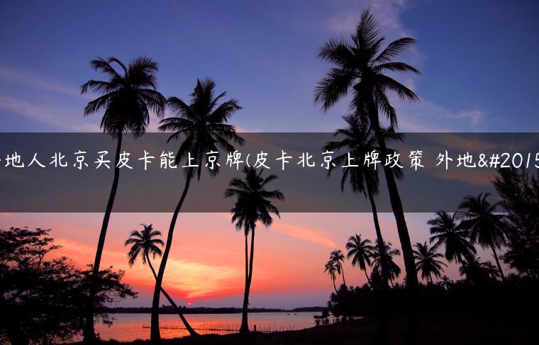 外地人北京买皮卡能上京牌(皮卡北京上牌政策 外地人)