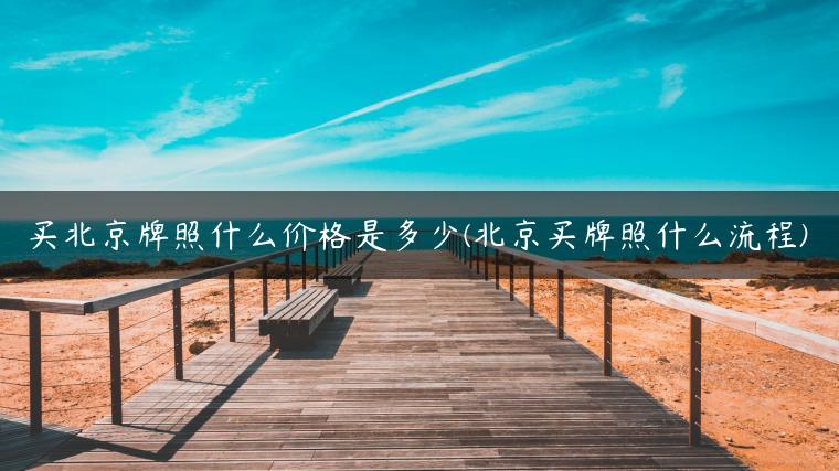 买北京牌照什么价格是多少(北京买牌照什么流程)