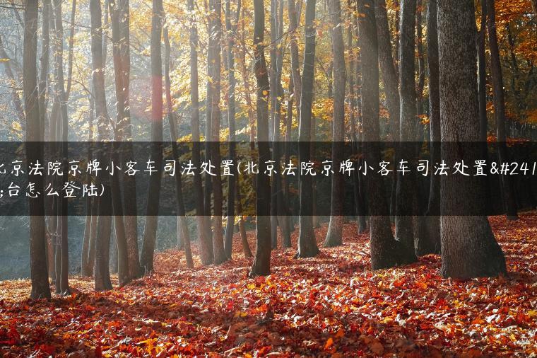 北京法院京牌小客车司法处置(北京法院京牌小客车司法处置平台怎么登陆)