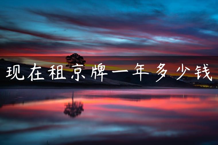 现在租京牌一年多少钱
