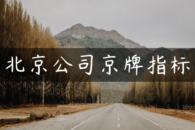 北京公司京牌指标