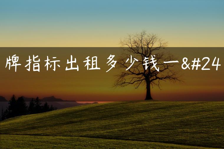 京牌指标出租多少钱一年-金牌车友