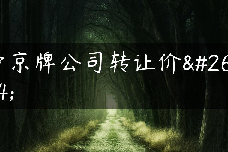 带京牌公司转让价格