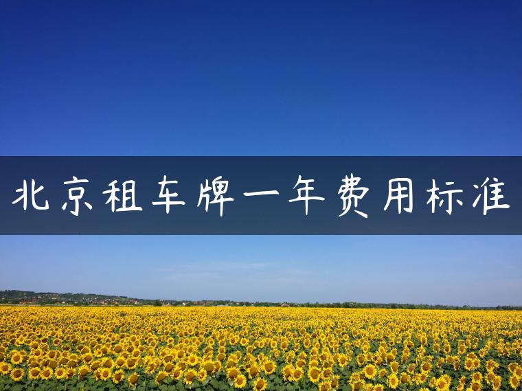 北京租车牌一年费用标准