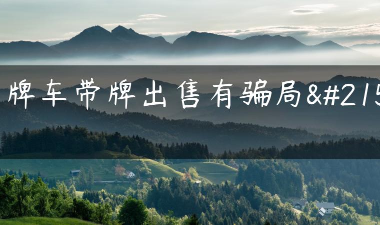 京牌车带牌出售有骗局吗