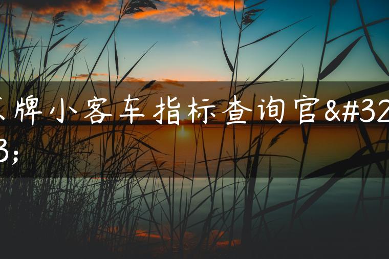京牌小客车指标查询官网