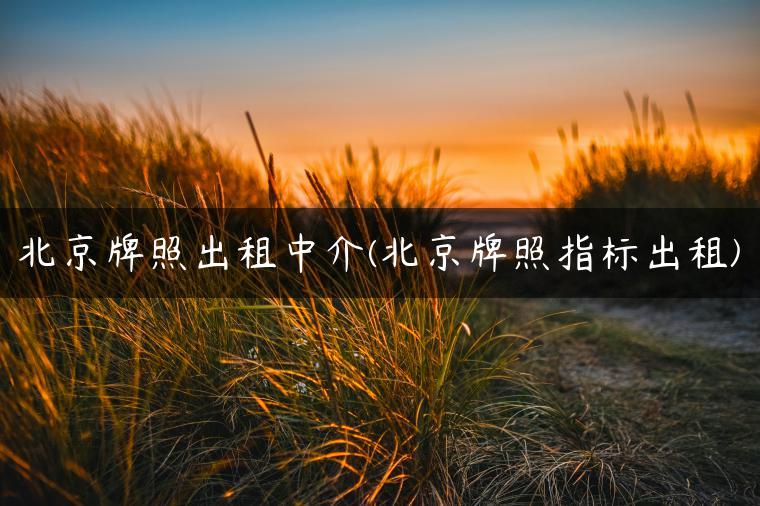 北京牌照出租中介(北京牌照指标出租)