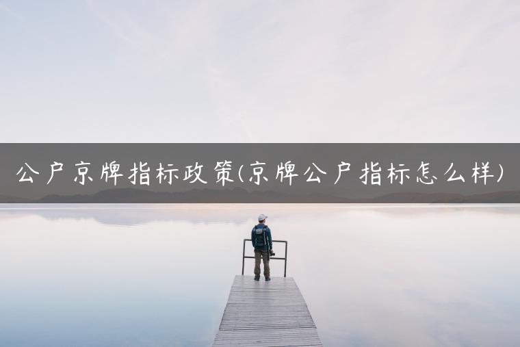 公户京牌指标政策(京牌公户指标怎么样)