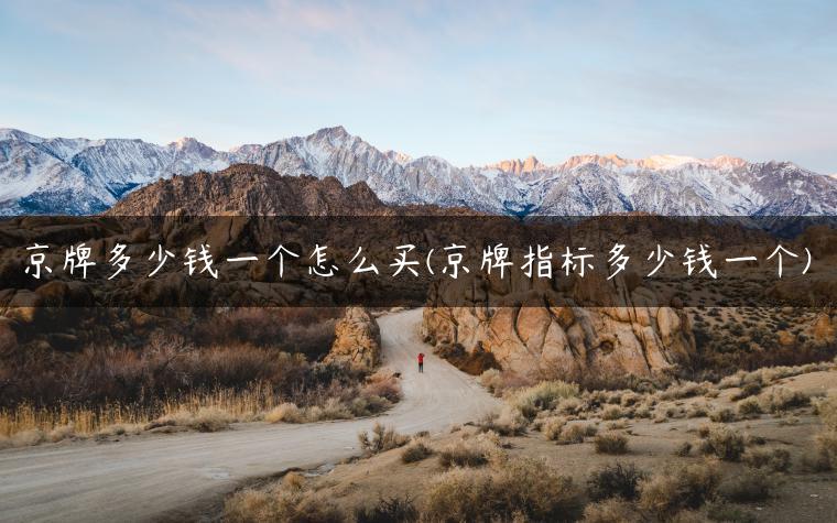 京牌多少钱一个怎么买(京牌指标多少钱一个)