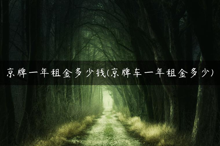 京牌一年租金多少钱(京牌车一年租金多少)
