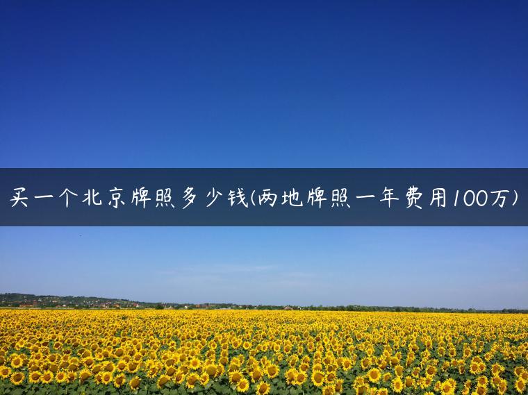 买一个北京牌照多少钱(两地牌照一年费用100万)