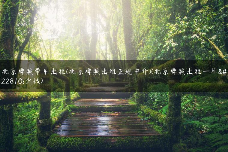 北京牌照带车出租(北京牌照出租正规中介)(北京牌照出租一年多少钱)
