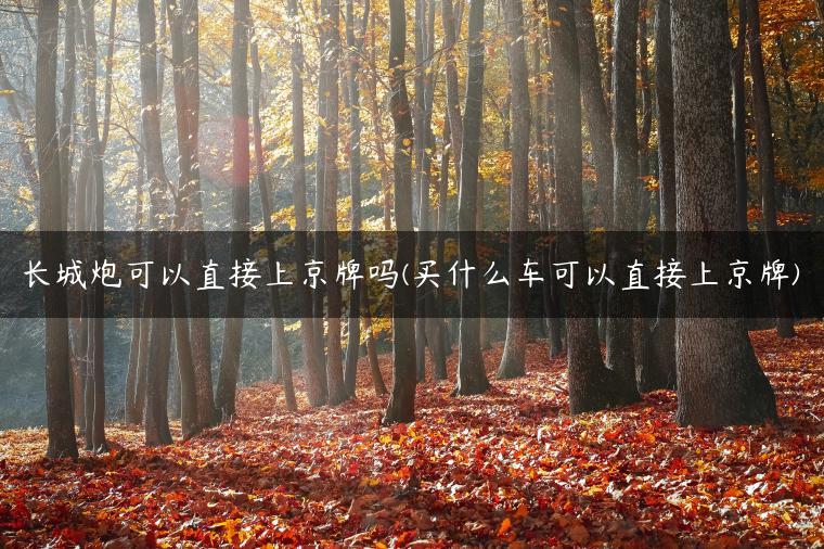 长城炮可以直接上京牌吗(买什么车可以直接上京牌)