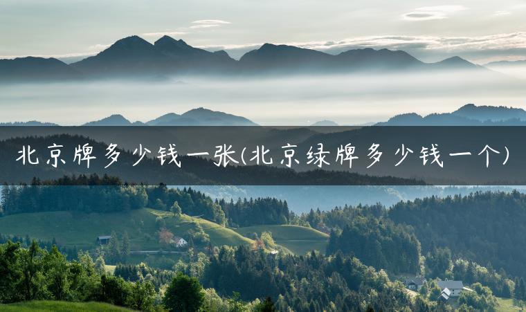 北京牌多少钱一张(北京绿牌多少钱一个)