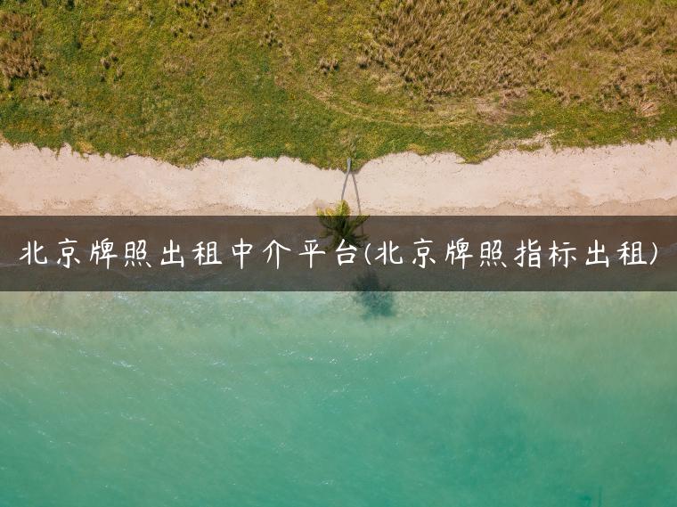 北京牌照出租中介平台(北京牌照指标出租)-金牌车友