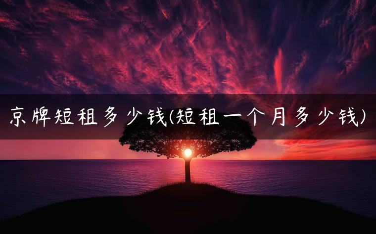 京牌短租多少钱(短租一个月多少钱)