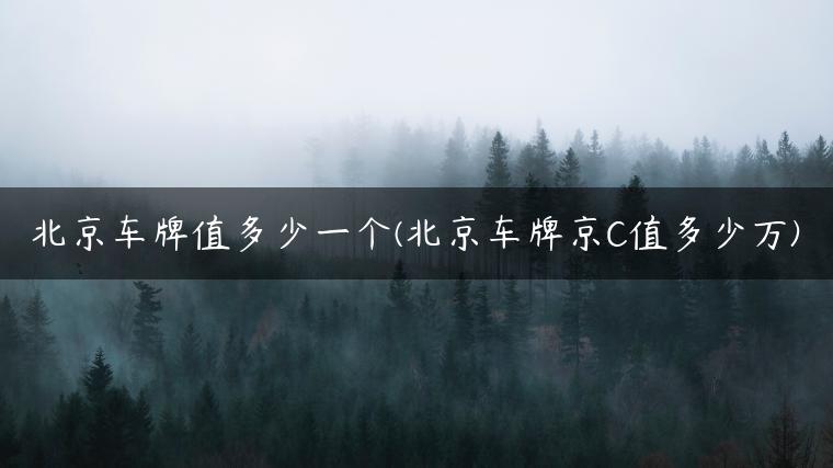 北京车牌值多少一个(北京车牌京C值多少万)