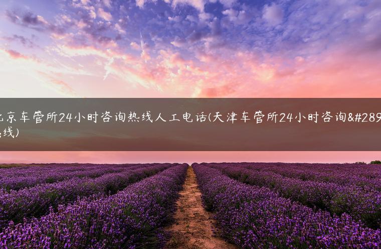 北京车管所24小时咨询热线人工电话(天津车管所24小时咨询热线)