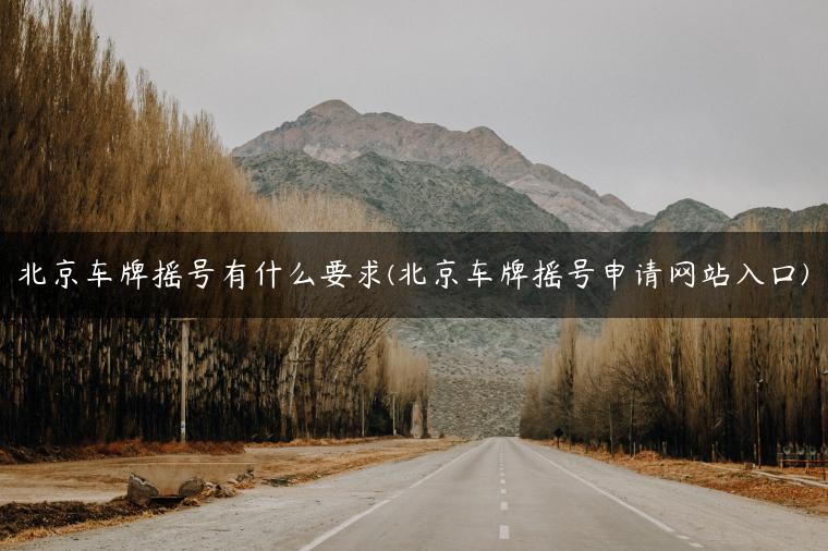 北京车牌摇号有什么要求(北京车牌摇号申请网站入口)