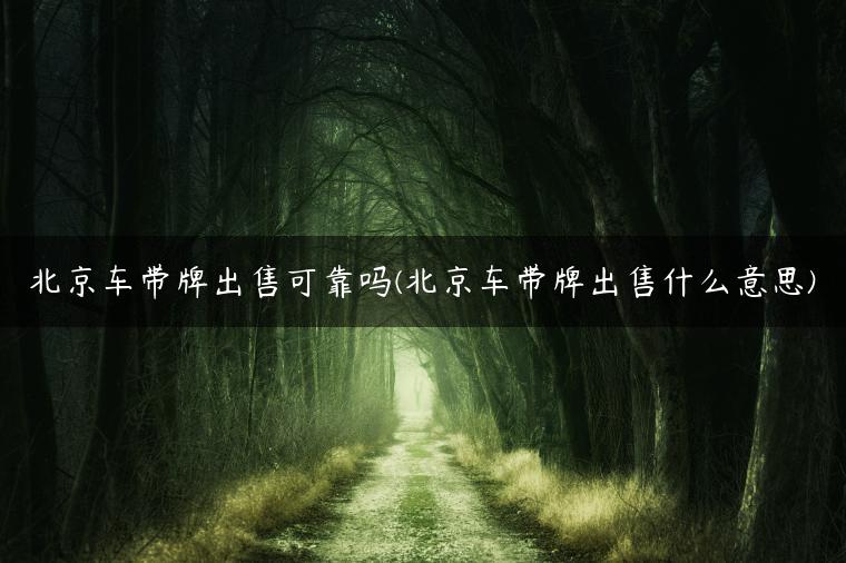 北京车带牌出售可靠吗(北京车带牌出售什么意思)