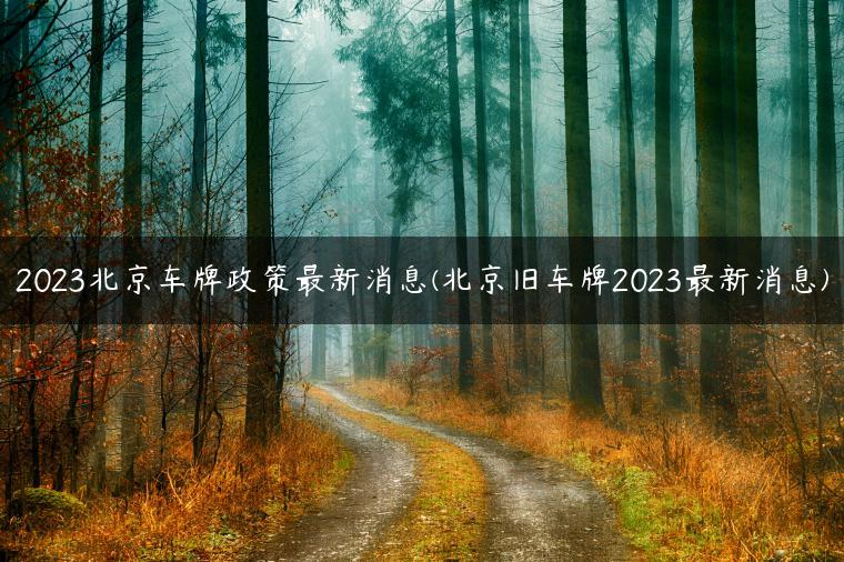 2023北京车牌政策最新消息(北京旧车牌2023最新消息)