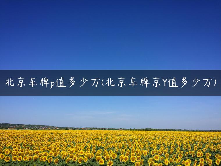 北京车牌p值多少万(北京车牌京Y值多少万)-金牌车友