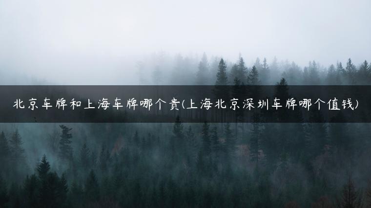 北京车牌和上海车牌哪个贵(上海北京深圳车牌哪个值钱)