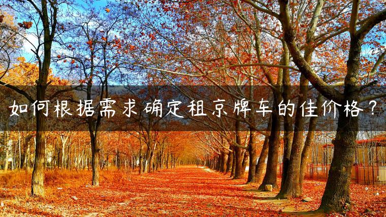 如何根据需求确定租京牌车的佳价格？