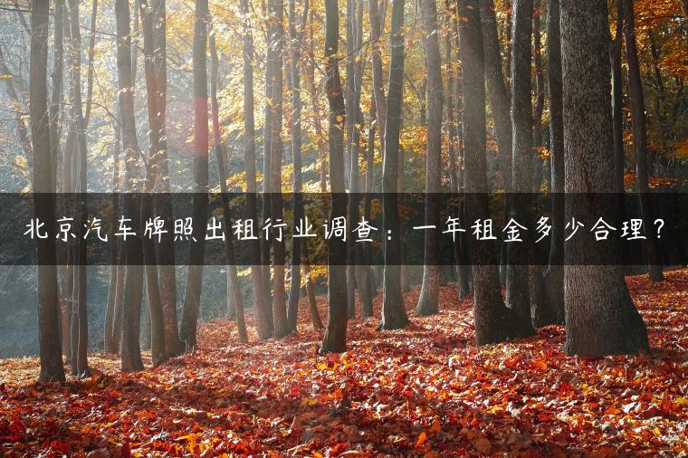 北京汽车牌照出租行业调查：一年租金多少合理？