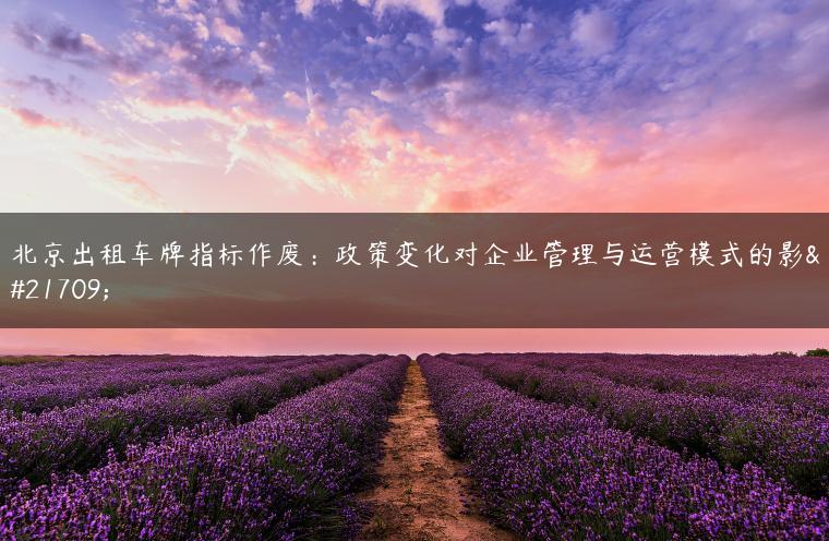 北京出租车牌指标作废：政策变化对企业管理与运营模式的影响