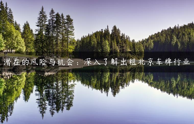 潜在的风险与机会：深入了解出租北京车牌行业-金牌车友