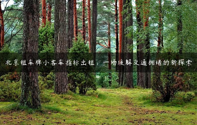 北京租车牌小客车指标出租：一场缓解交通拥堵的新探索