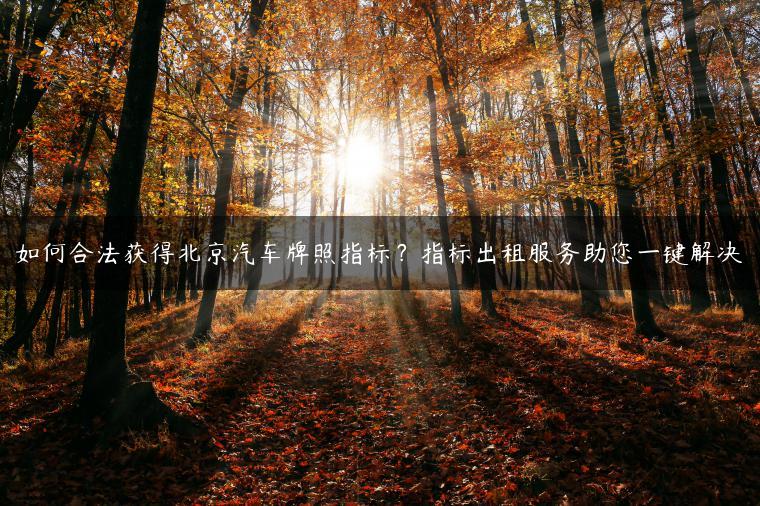 如何合法获得北京汽车牌照指标？指标出租服务助您一键解决