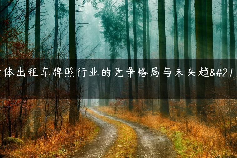 个体出租车牌照行业的竞争格局与未来趋势