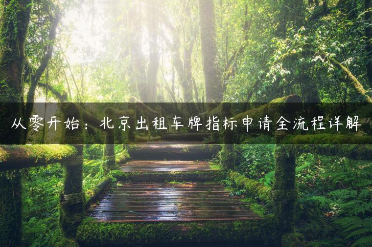 从零开始：北京出租车牌指标申请全流程详解